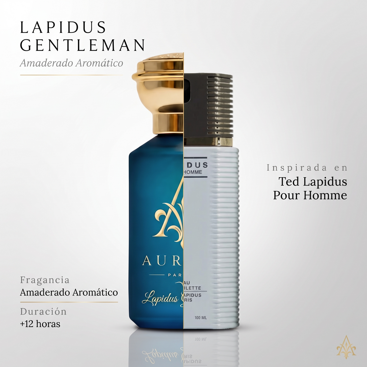 Lapidus Gentleman