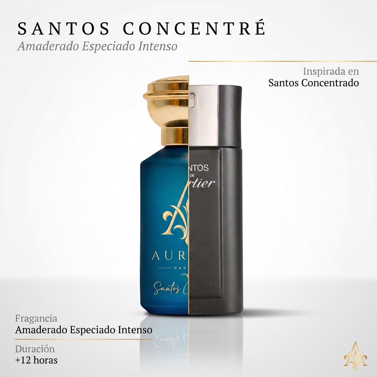 Santos Concentré